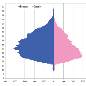 Graphique répartition genres