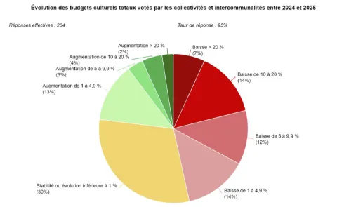 graphique budget culture